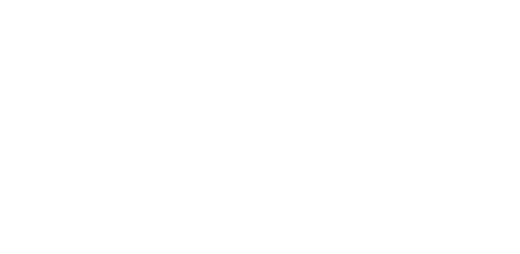 SAY Carbon Yachts logo white