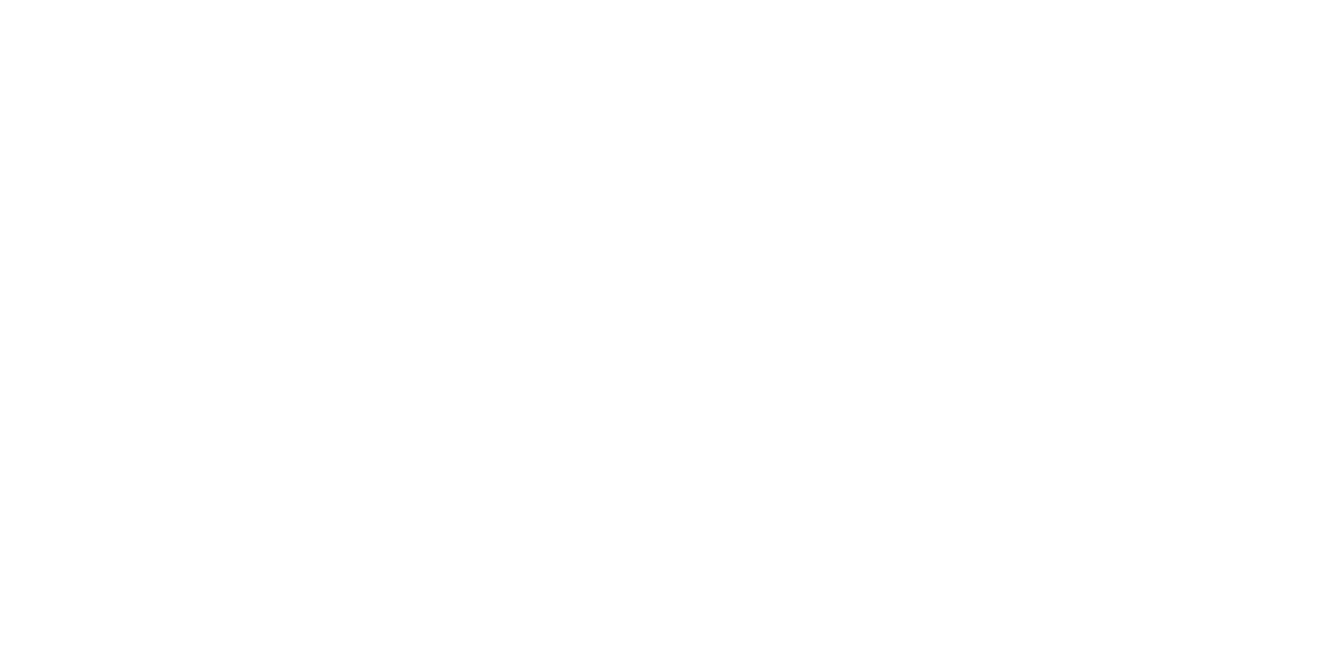 SAY Carbon Yachts logo white